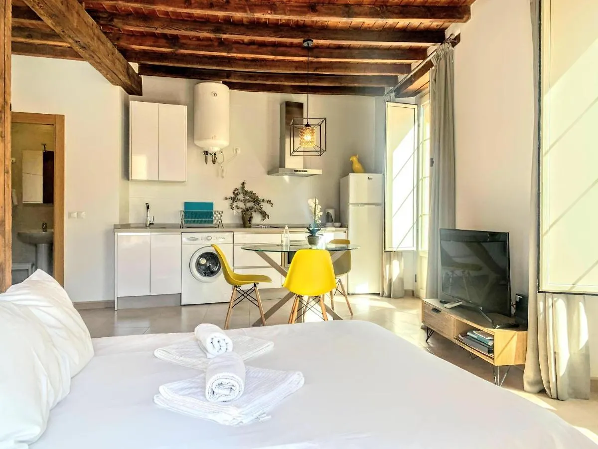 Apartment Homely Malaga Loft Gaona Centro