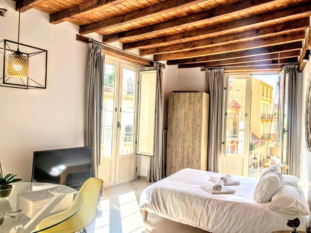 Homely Malaga Loft Gaona Centro contacts